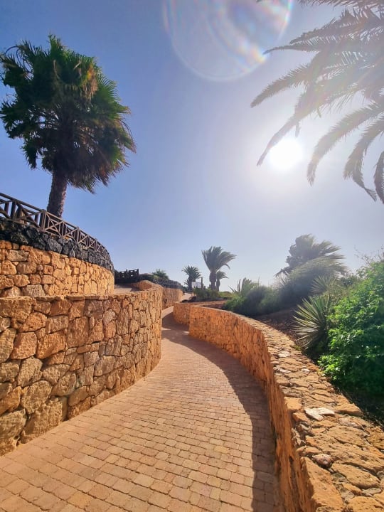 Gartenanlage R2 Pajara Beach