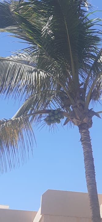 Außenansicht SBH Hotel Taro Beach