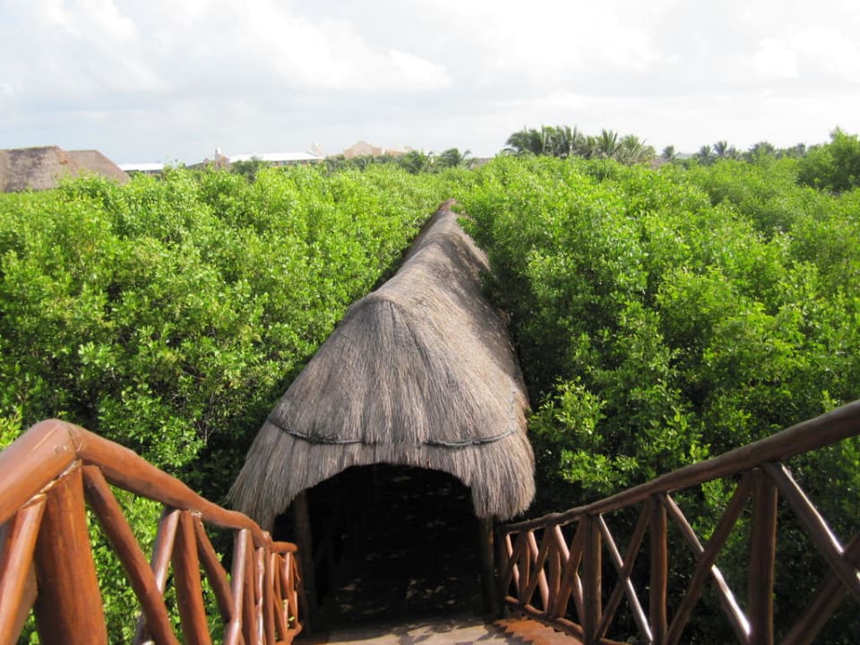 Wege durch die Anlage TRS Yucatan Hotel - Adults only