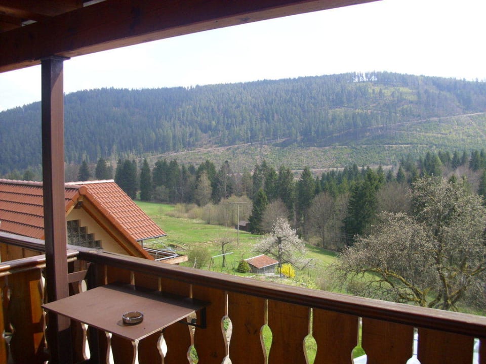 Von unserem Zimmer Schwarzwaldhotel-Gasthof Hirsch