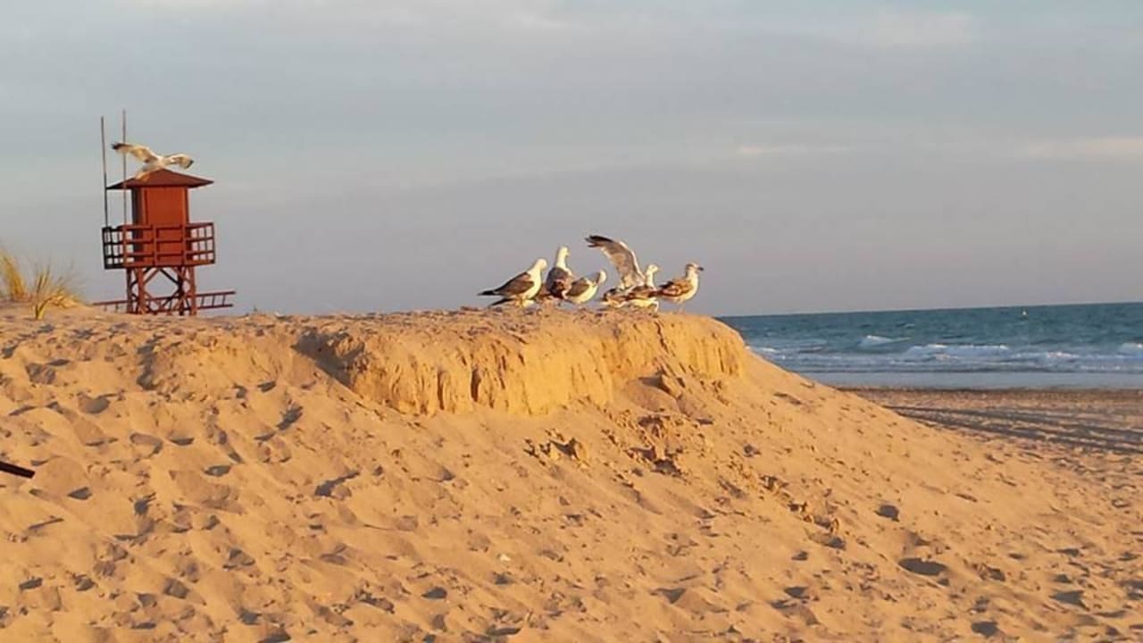 Flora und Fauna Hipotels Barrosa Park