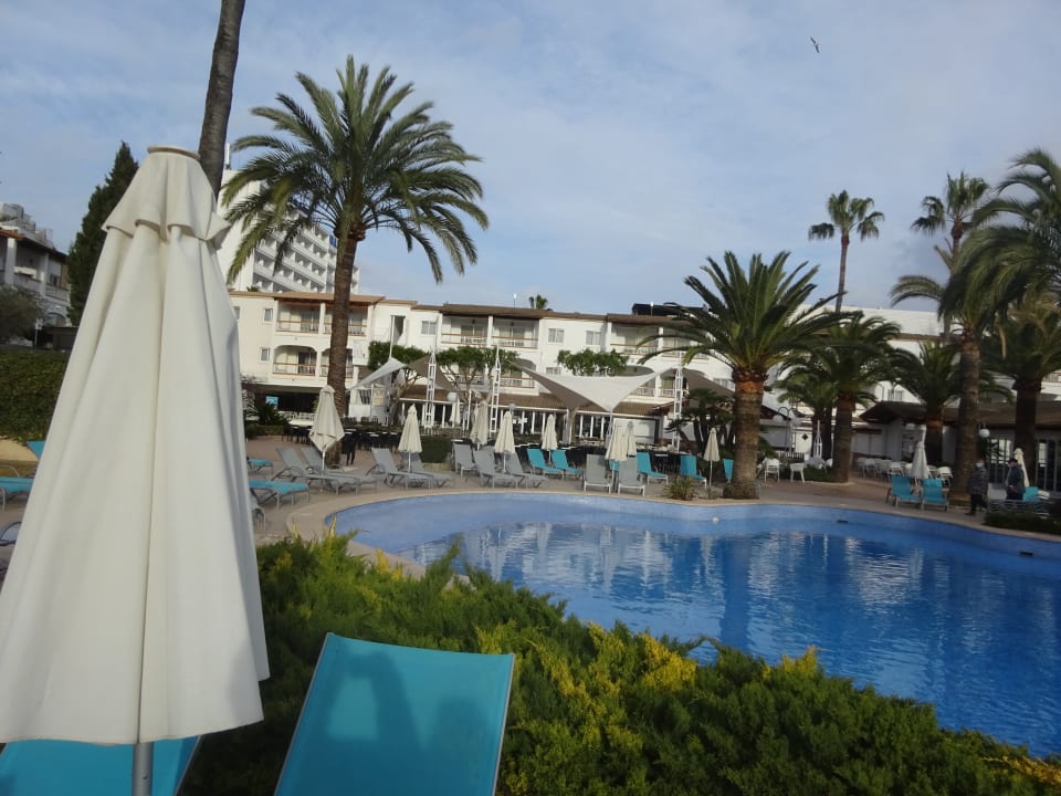 Pool Alcudia Garden Aparthotel