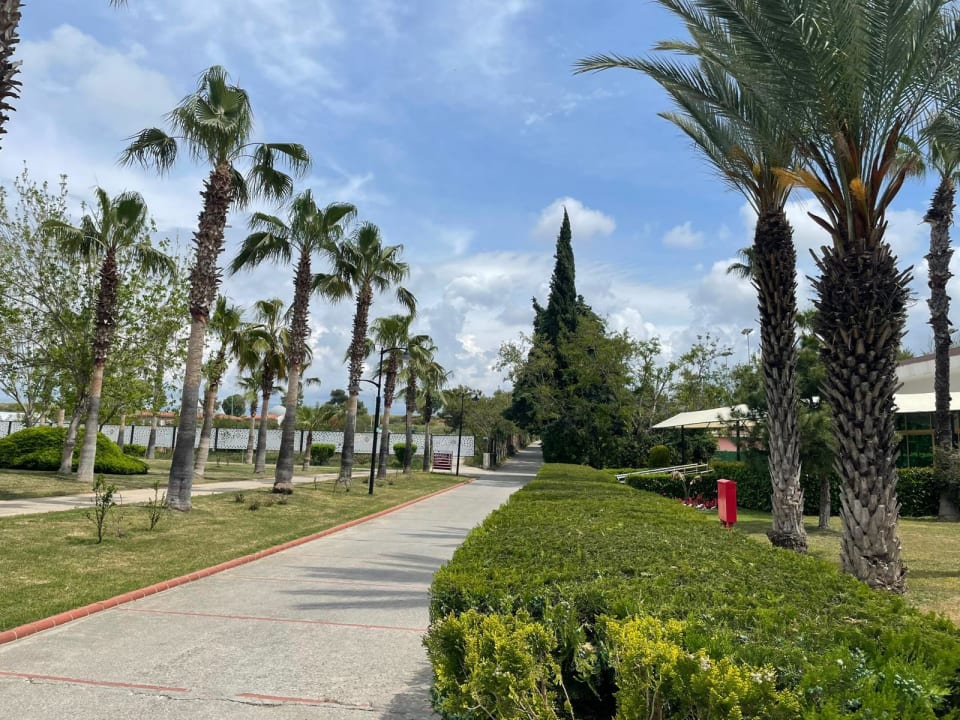 Außenansicht Asteria Family Resort Side