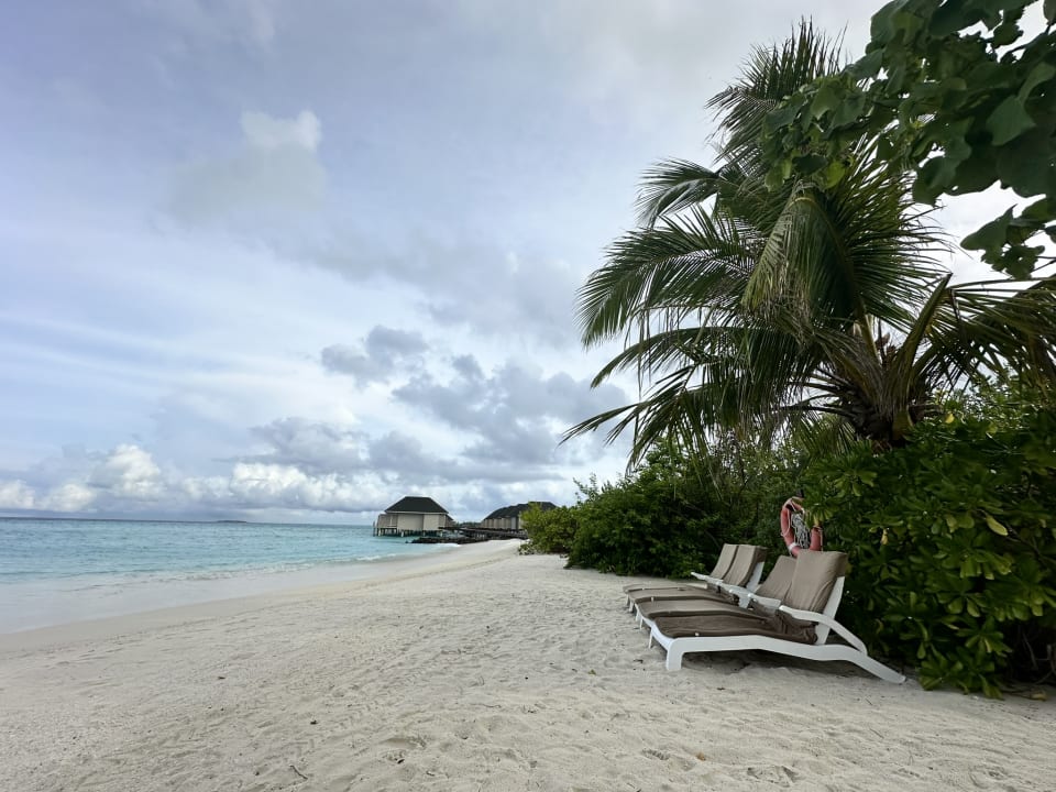 Strand Summer Island Maldives