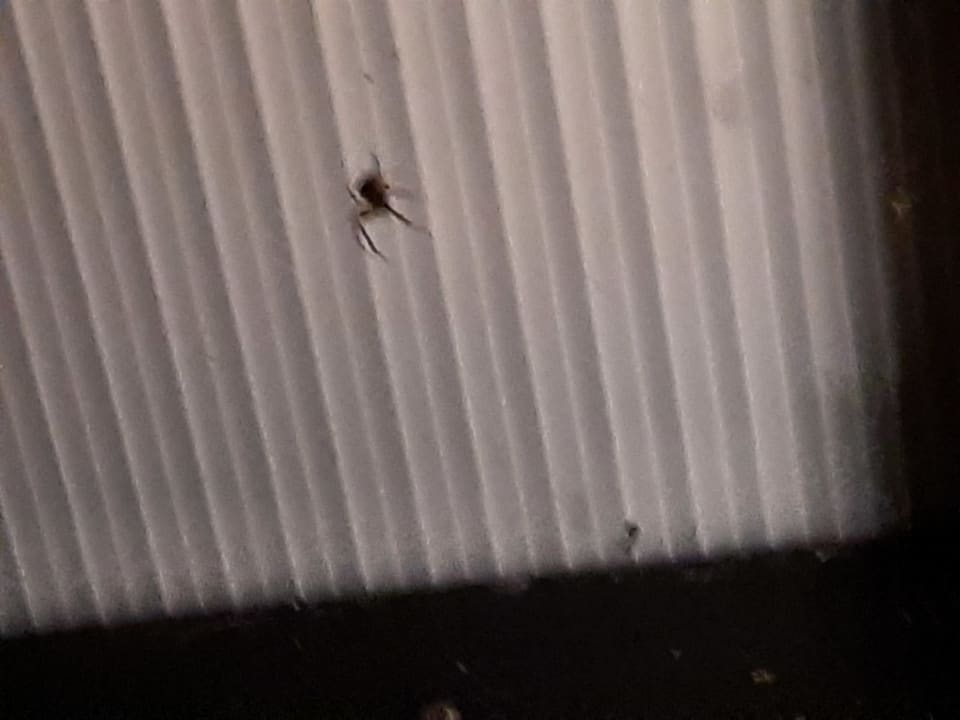 Zimmer Roompot Park Wijdenes