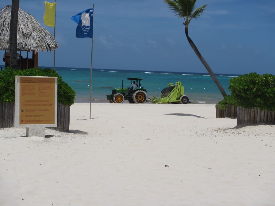 Strand JOIA Bávaro by Iberostar