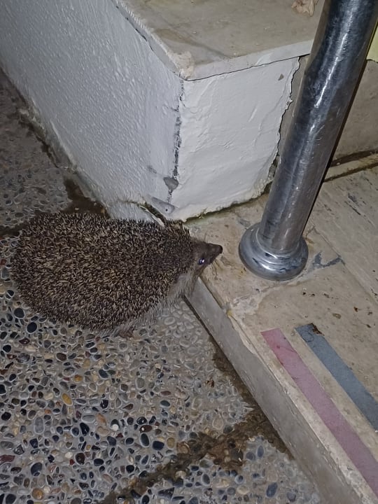 Gartenanlage VONRESORT Golden Beach