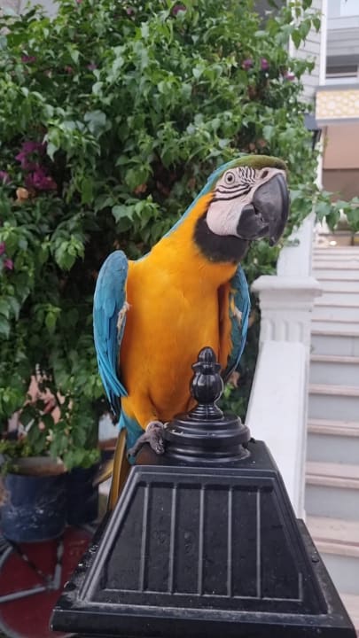 Sonstiges Mira Meridia Beach Hotel