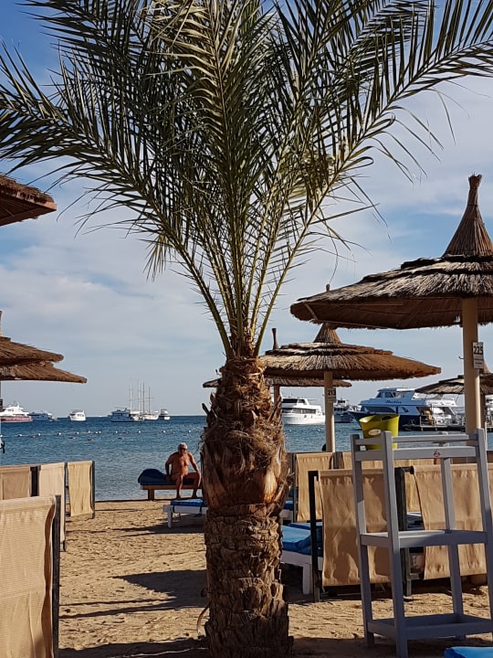 Strand Pickalbatros White Beach Resort - Hurghada