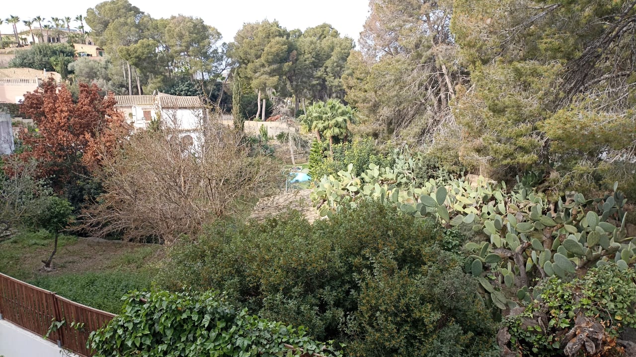 Ausblick La Concha Soul Boutique Hotel