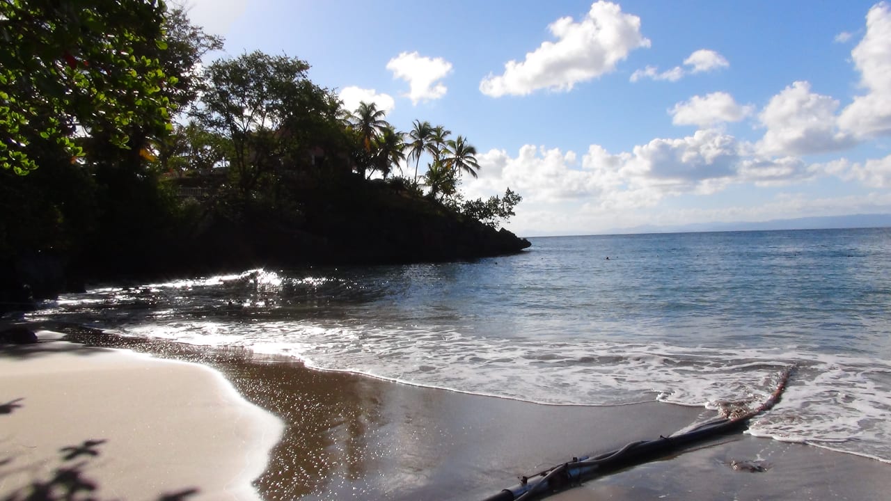 Strand Bahia Principe Grand Samana - Adults Only