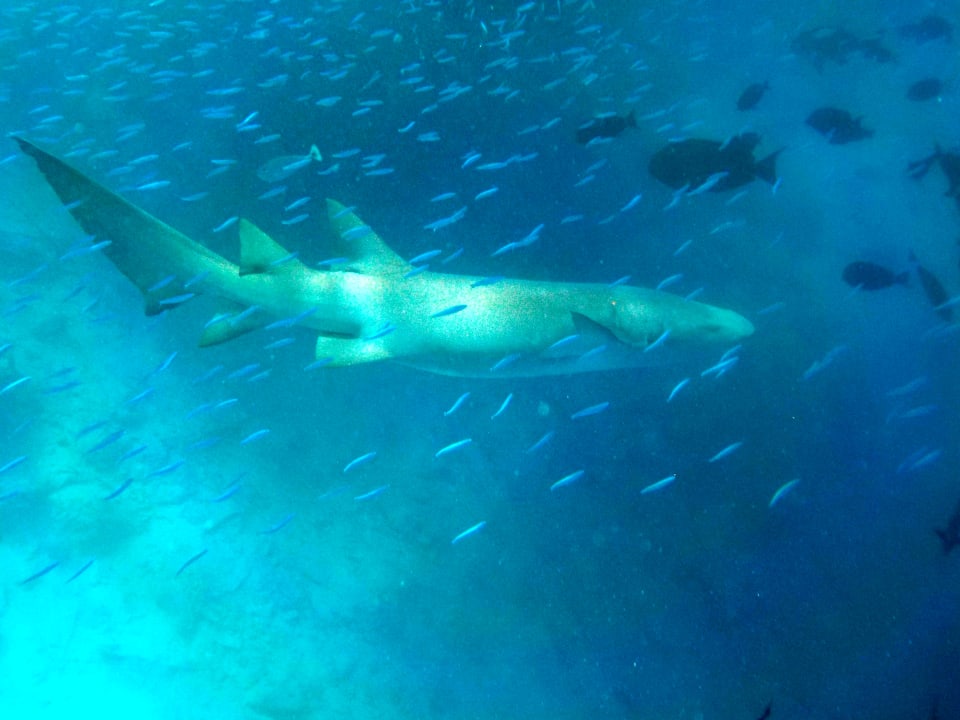 Strand Adaaran Club Rannalhi - All Inclusive