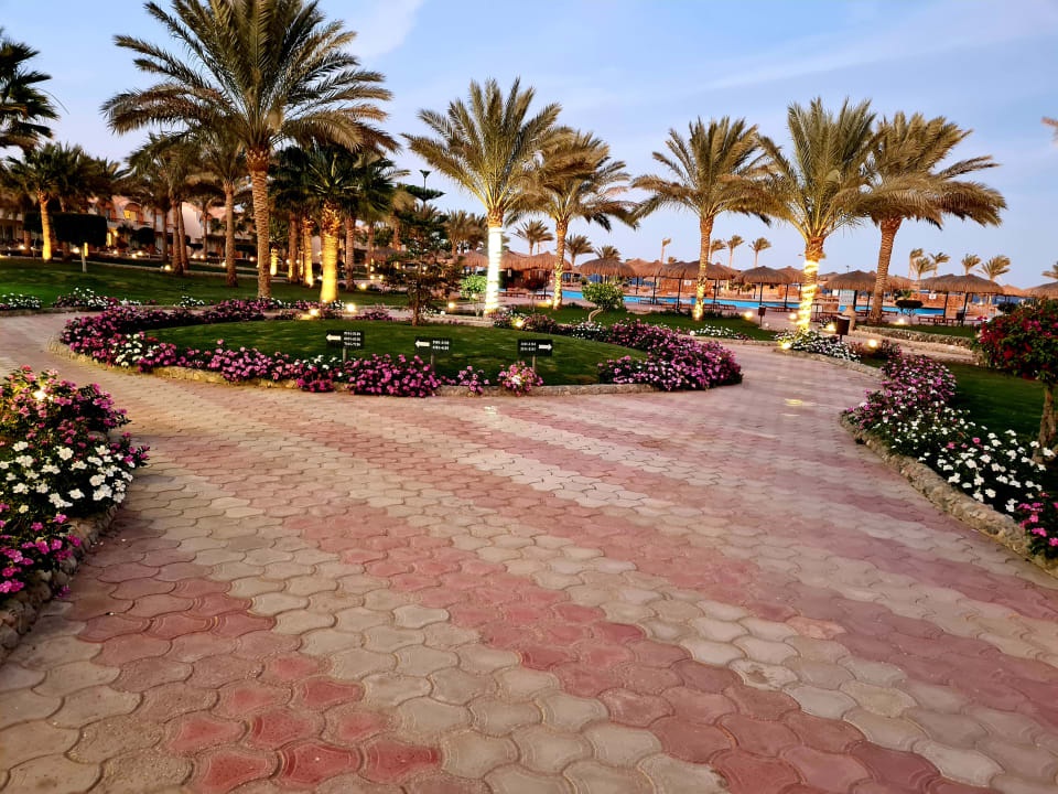 Gartenanlage Three Corners Sea Beach Resort