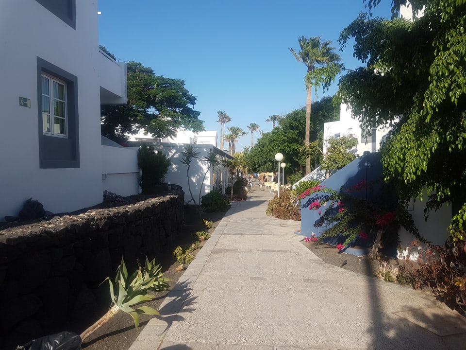 Gartenanlage Apartamentos LIVVO Morromar