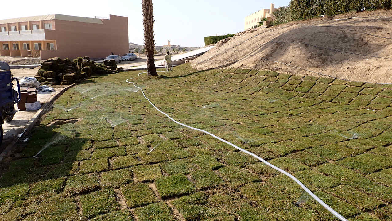 Gartenanlage Three Corners Equinox Beach Resort