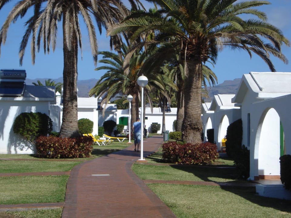 Garten mit Bungalows Canary Garden Club