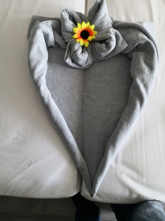 Zimmer GRIFID Vistamar