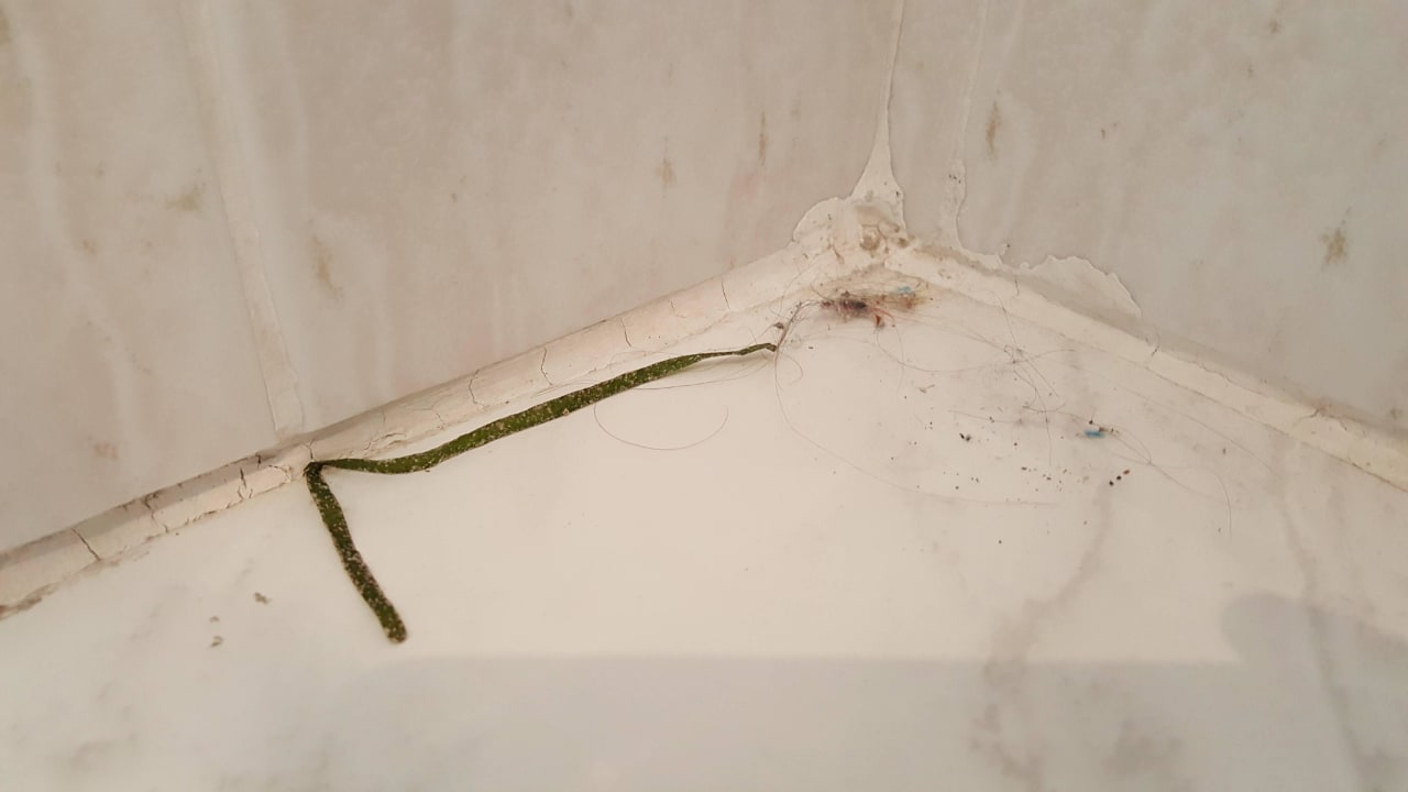 Bad Reinigung Fehlanzeige Bahía de Alcúdia Hotel & Spa