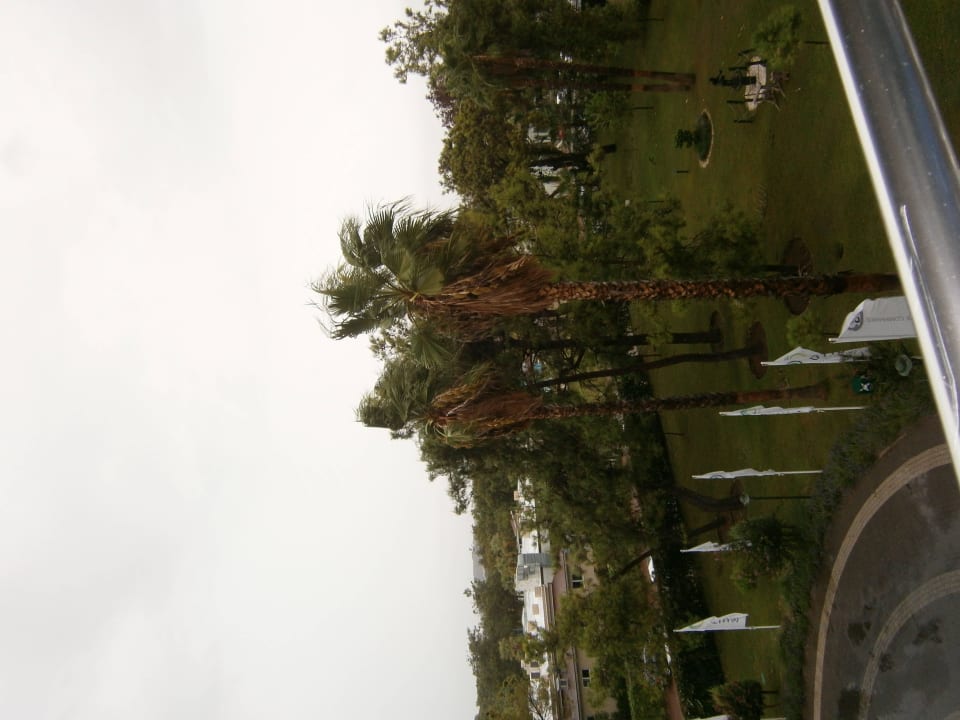 Blick vom Balkon Marvida Family Eco