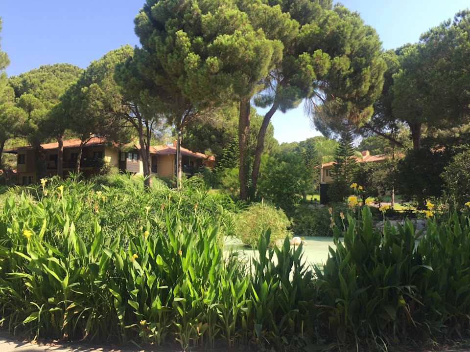 Gartenanlage Asteria Family Belek