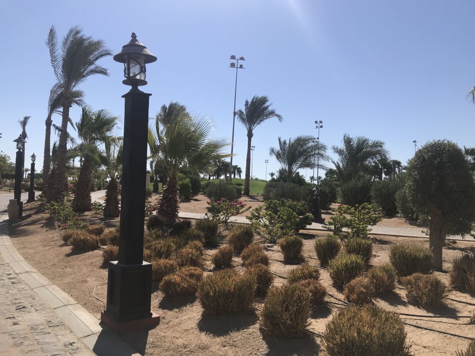 Strand Steigenberger Aqua Magic