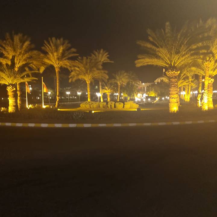 Gartenanlage Desert Rose