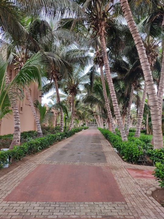 Ausblick Hotel Riu Funana