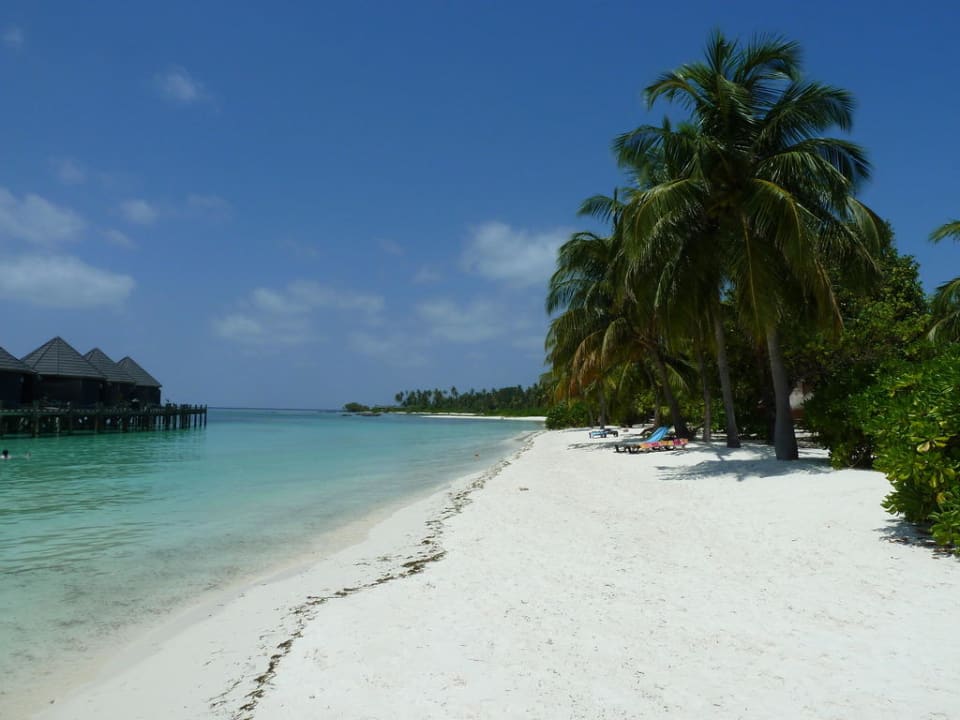 Nordstrand zwischen Beachbungis und Wasserbungis Kuredu Island Resort & Spa