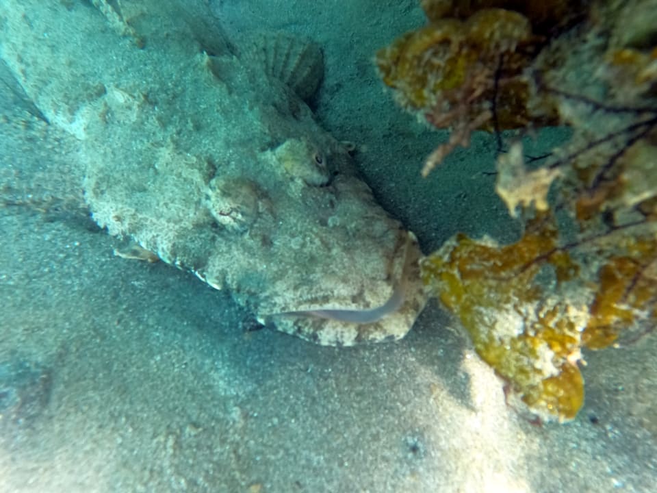 Sport & Freizeit Brayka Bay Resort