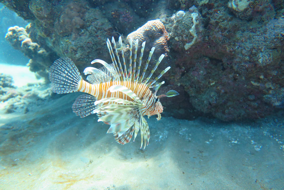 Sport & Freizeit Three Corners Equinox Beach Resort