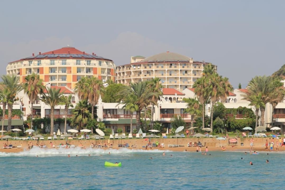 Lioness My Home Sky Hotel