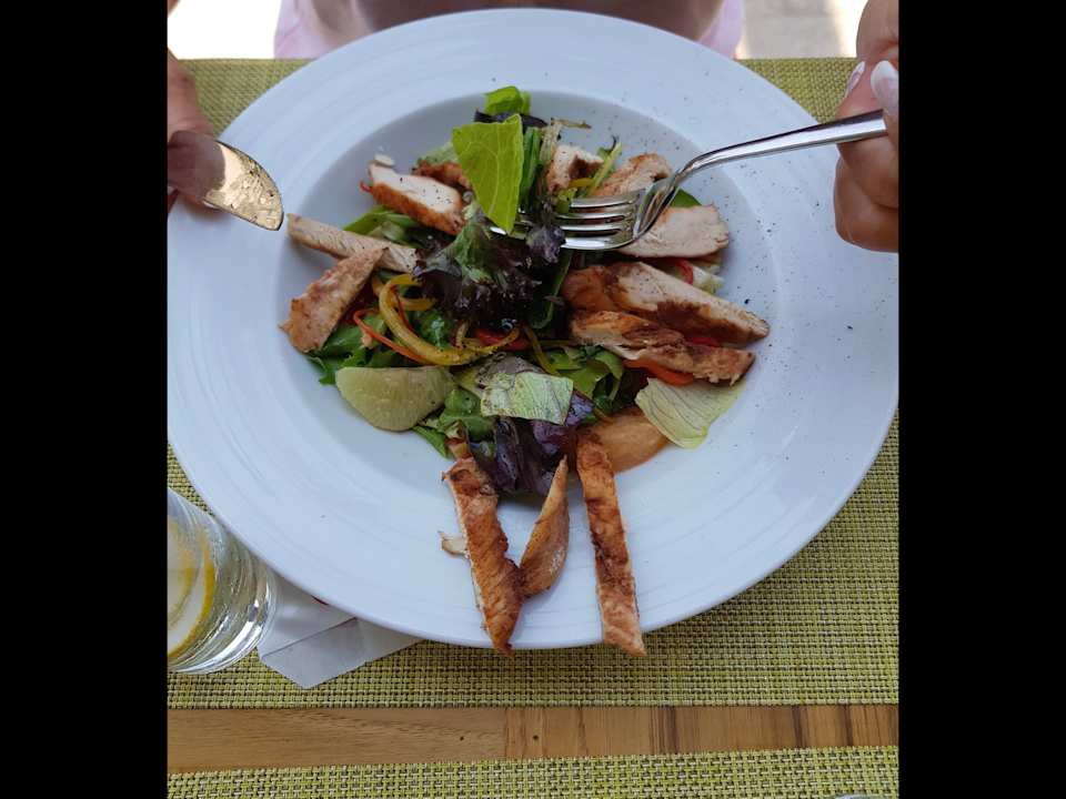 Gastro Acanthus Cennet Barut Collection