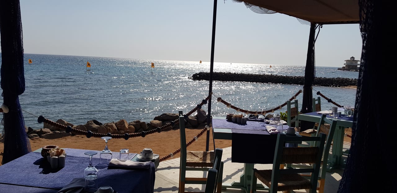 Ausblick Desert Rose