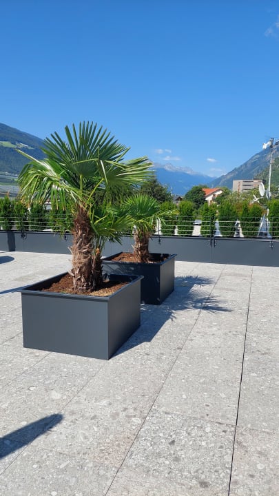 Außenansicht Feldhof DolceVita Resort