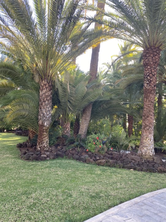 Gartenanlage Hotel Riu Palace Oasis