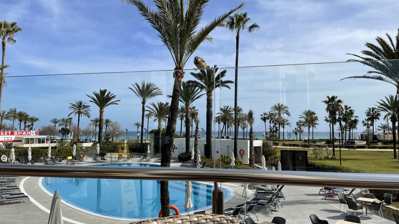 Ausblick allsun Hotel Bahia del Este