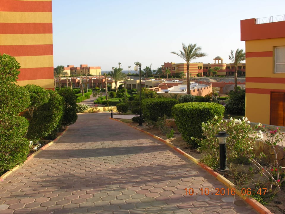 Widok na hotel Malikia Resort Abu Dabbab