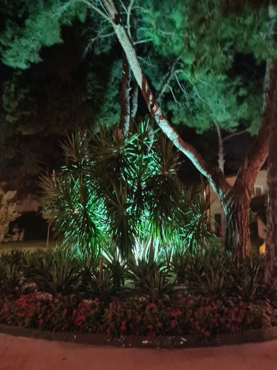 Gartenanlage Crystal Flora Beach Resort