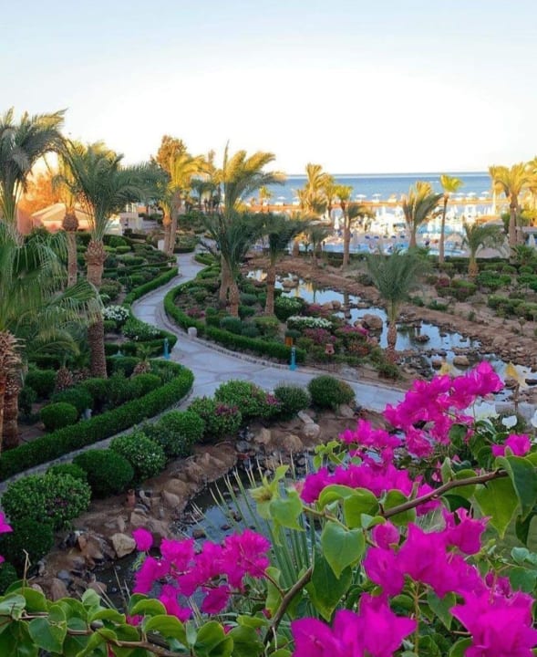 Ausblick Mövenpick Resort & Spa El Gouna
