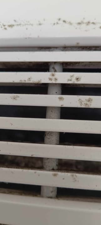 Zimmer allsun Hotel Bella Paguera