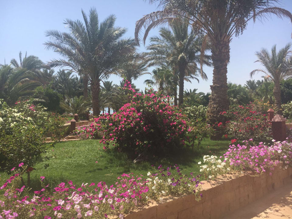 Gartenanlage Fort Arabesque Resort, Spa & Villas