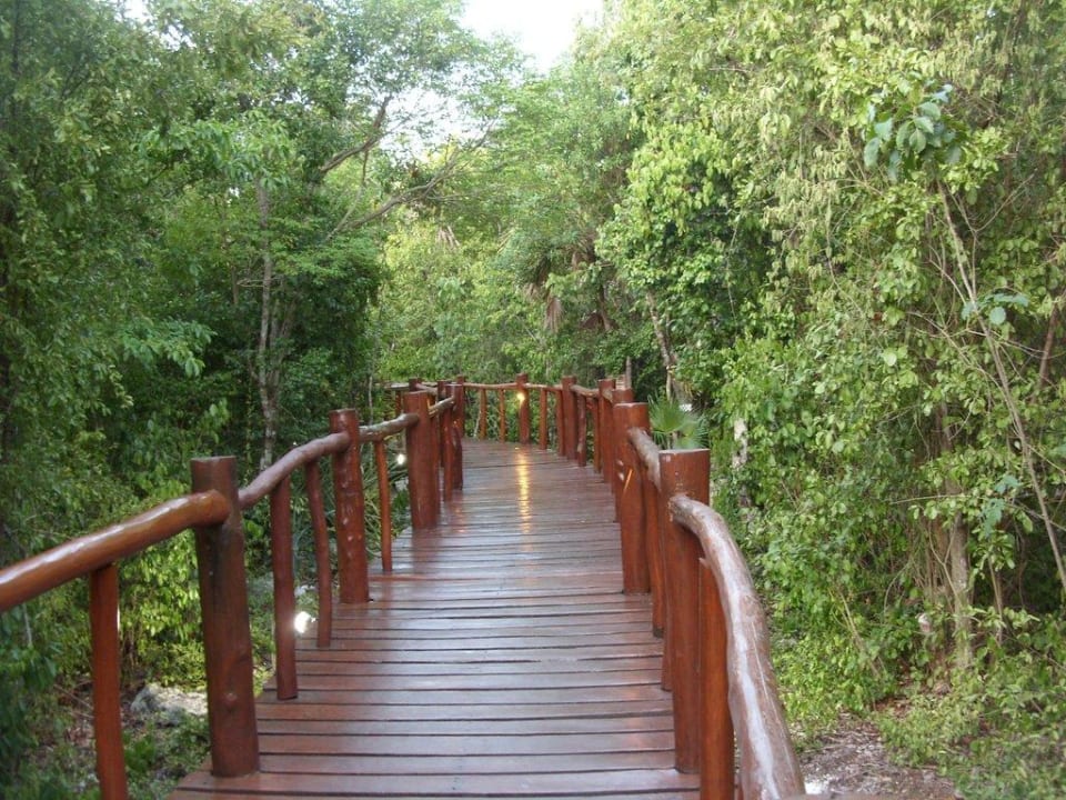 Wege durch das Resort 3 Grand Palladium Select White Sand Resort & Spa