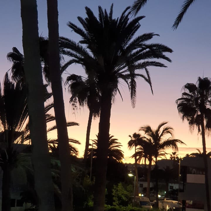 Ausblick Hotel Patricio