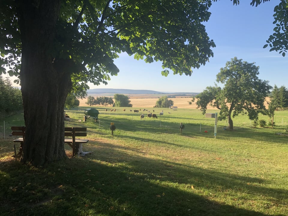 Ausblick Gasthof Drei Schwanen
