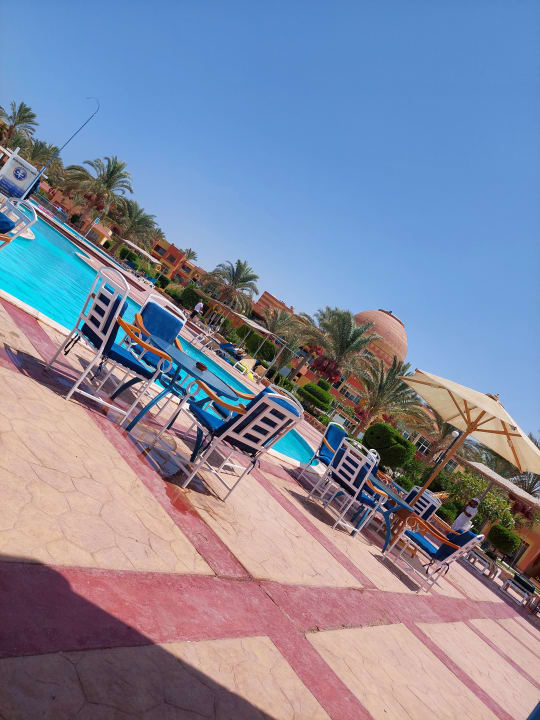 Pool Malikia Resort Abu Dabbab