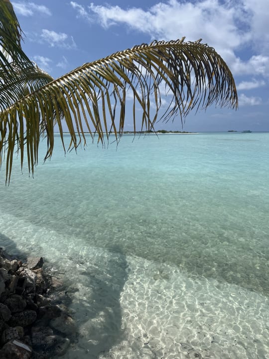 Strand Cinnamon Hakuraa Huraa Maldives