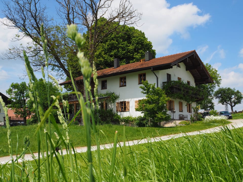 Der Hof im Hintergrund  Stettnerhof