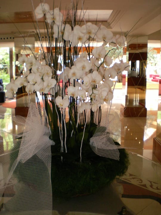 Empfang allsun Hotel Cormoran