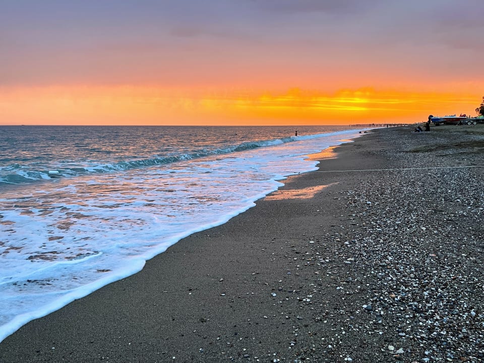 Strand TUI BLUE Palm Garden