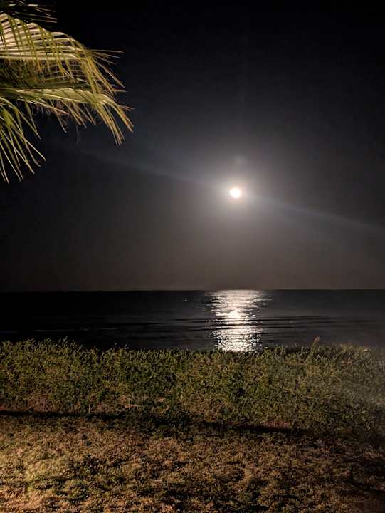 Gartenanlage Three Corners Equinox Beach Resort